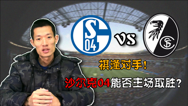 沙尔克主场取胜弗赖堡，稳定战绩